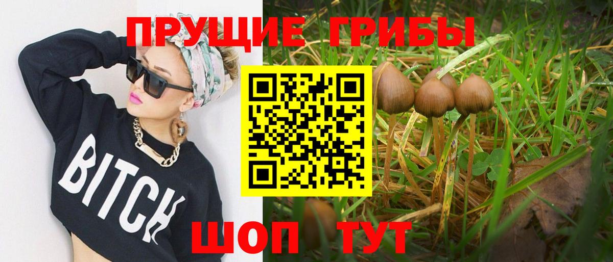 Галлюциногенные грибы GOLDEN TEACHER  Вход с VPN  Чернушка 